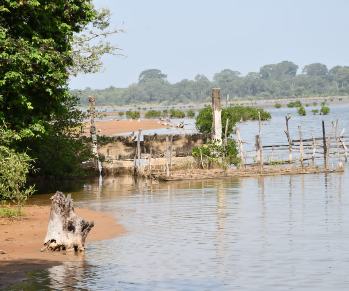 Lutte contre l’ensablement des rizières et de la mangrove : des digues ...